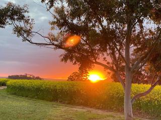 Woburn Field Hangar House in York - 6