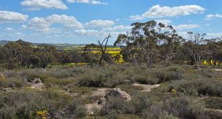 Woburn Field Hangar House in York - 4