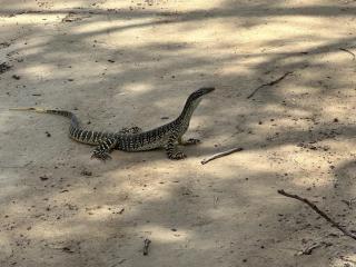 Woburn Field Hangar House in York - 1