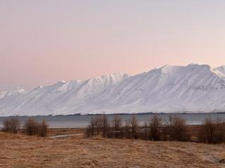 Riverside Dome cabin with skylight - 6