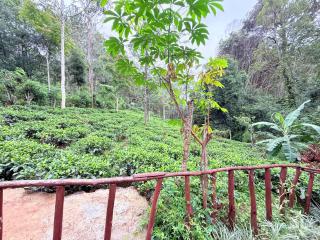 Hike & Stay Ella - 2