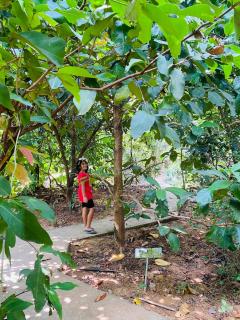 Moksha Farm Stay - 4