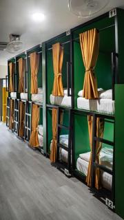 The highdogs hostel - 1