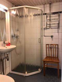 Savonniemen loma-asunto - 3