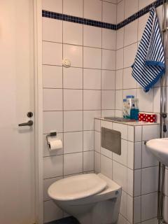 Savonniemen loma-asunto - 2