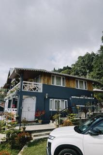 Pine Forest Retreat - 8