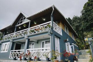 Pine Forest Retreat - 6