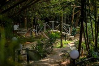 Lakkidi village resort wayanad - 2