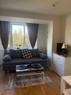 Chamkoria Borovets luxury apartment view - 0