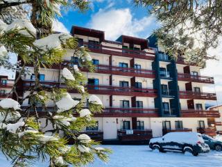 Bakuriani inn Apartment - 7