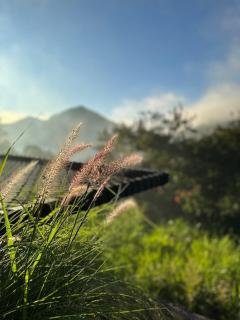 7 Dreams Glamping #5 - 8