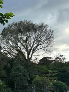 Cabaña La Conquista - 4