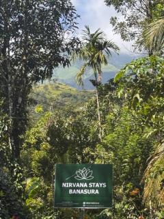 Nirvana Stays Banasura -Lotus - 6