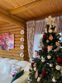 Еко котедж Яблуницька троянда - 4