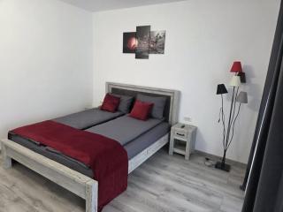 Pensiunea Dariana - 5