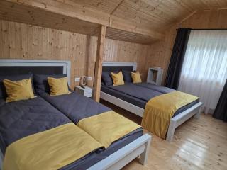 Pensiunea Dariana - 1