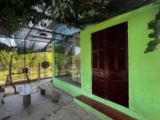 The Rustic Tree Farm - 2