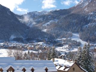 les gentianes - La Salle Les Alpes - 0