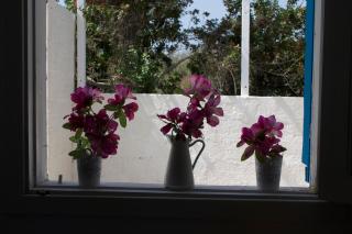 Villa Porto Ulisse - Ispica - 2