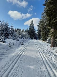 Chaloupka u Rity - 8