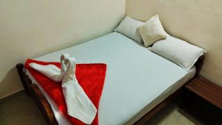 Coorg peacock feathers home stay - 5