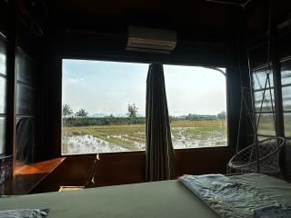 The Rustic Tree Farm - 4