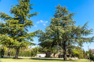 La maison d'à côté - 4