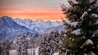 Berghof Mehlan - Fischen im Allgäu - 0
