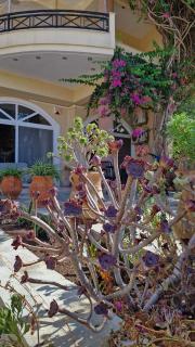 Lenico Beachfront Suites - 1