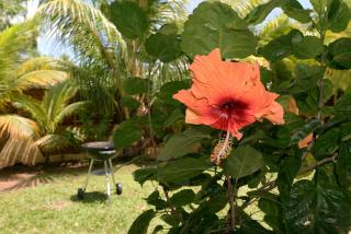 Cottage with private garden and pool - 6