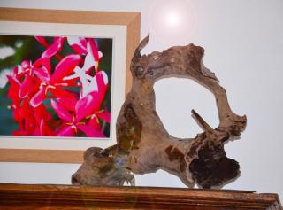 Cottage with private garden and pool - 4