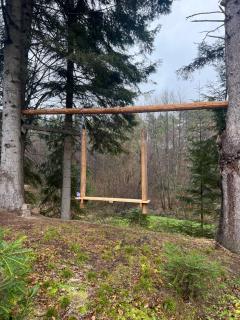 Тиша лісу - 1