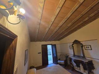 Agriturismo Collina degli Ulivi - Sarteano - 7