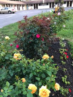 Smithpoint motel - 1