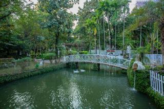 Elfreda, Vikramgad - 1BHK Villa - Pet Friendly - 4