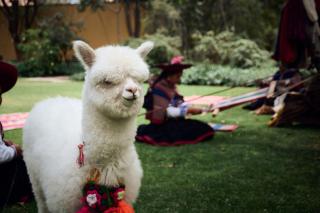Tambo del Inka, a Luxury Collection Resort & Spa, Valle Sagrado - 7