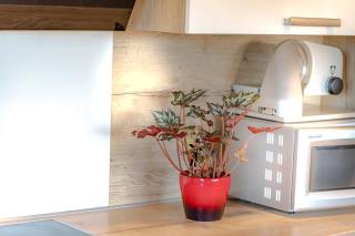 FEWO 2 zur schönen Aussicht - 7