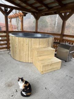 Căsuța din Vale - 6