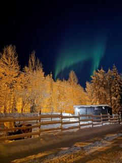 Perinteinen mökki, walking distance from centre - 6