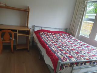 Holiday House in Central North Shore Auckland - Auckland - 0