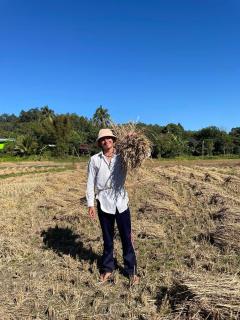 Joyful Haven Home - 2