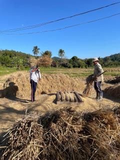 Joyful Haven Home - 4