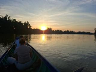 Forest Side Ecolodge - 8