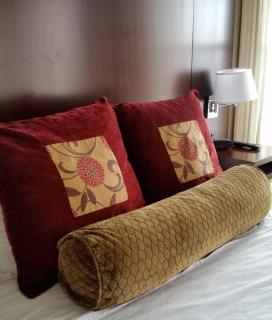 Best Western Syracuse Downtown Hotel and Suites - Syracuse - 8
