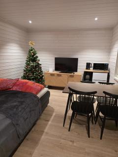 Arctic Sauna Cabin - 8