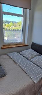 Apartament Bukowe Wzgórze - 1