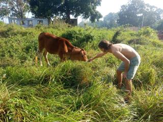 AB Nest Hiriketiya - 5