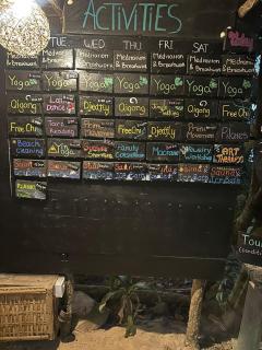 Kactus - Your Island Sanctuary - 8