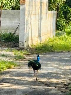 Villa Ocean Whisper - 4