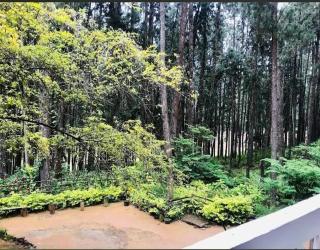 Green Shade Resort & Haritha Sewana Hotel - 9